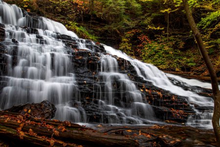 Fall colors surround Mohawk Falls at Ricketts Glen State Park, Pennsylvania