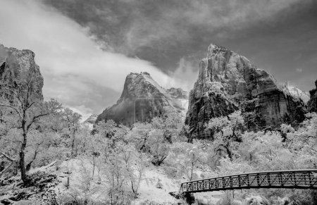 Foto de Nieve fresca ha caído en la Corte de los Patriarcas en Zion Canyon en el Parque Nacional Zion, Utah - Imagen libre de derechos