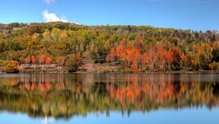 Die Herbstfarben der Aspen-Bäume spiegeln sich im ruhigen Wasser des Kolob Reservoir in der Nähe des Zion National Park, Utah