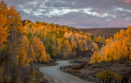Herbstfarben sind auf der Kolob-Terrasse vor den Toren des Zion Nationalparks in Utah angekommen