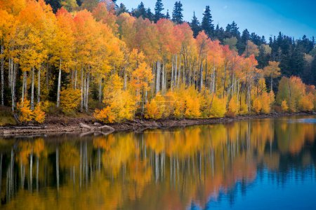 Fall colors from Aspen trees are reflected in the still waters of Kolob Reservoir near Zion National Park, Utah