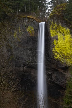 Latourell Falls along Oregon's Columbia River Gorge, at Guy Talbot State Park