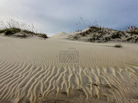 Foto de Las dunas de arena y las olas oceánicas conforman la escena en la costa nacional del Cabo Hatteras, Carolina del Norte - Imagen libre de derechos