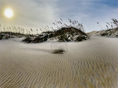 Foto de Ondas en las dunas de arena en Cape Hatteras National Seashore, Carolina del Norte - Imagen libre de derechos