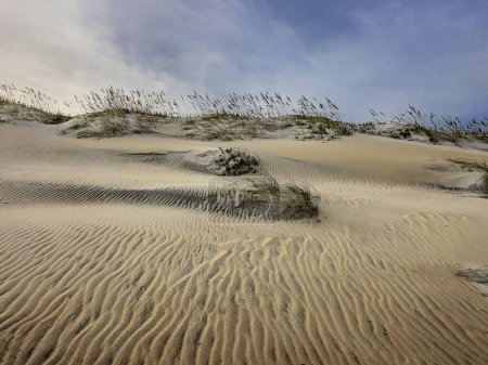 Foto de Ondas en las dunas de arena en Cape Hatteras National Seashore, Carolina del Norte - Imagen libre de derechos