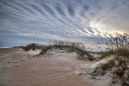 Foto de Las dunas de arena y las olas oceánicas conforman la escena en la costa nacional del Cabo Hatteras, Carolina del Norte - Imagen libre de derechos