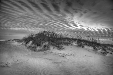 Les dunes de sable et les vagues océaniques constituent la scène du littoral national du cap Hatteras, en Caroline du Nord
