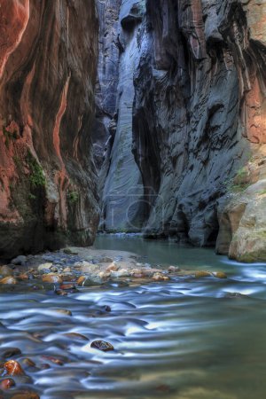 The Virgin River slices through Zion Canyon forming The Narrows at Zion National Park, Utah