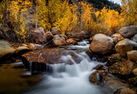 Herbstfarben sind in den Sierra Neveda Mountains entlang des Bishop Creek angekommen, der an das Owens Valley, Kalifornien, grenzt