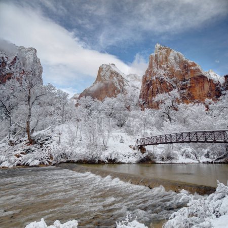 La neige fraîche est tombée dans le canyon de Zion au parc national de Zion, Utah