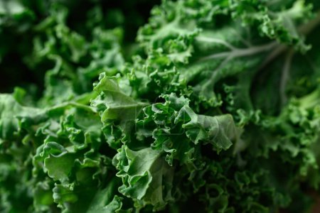 Foto de Green Kale or leaf cabbage texture background, healthy vegetable - Imagen libre de derechos