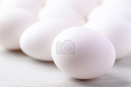 Weißes Bio-Lighorn-Ei aus Freilandhaltung