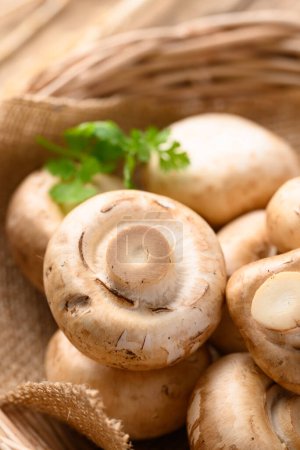 Fresh Champignon mushroom in natural basket, Close up