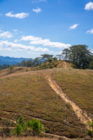 Ta Nang - Phan Dung Route mit Meilenstein zwischen 3 Provinzen durch Grashügel und Wälder im Song Mao Naturreservat, neues Ziel für junge Leute, die Trekking in Vietnam lieben
