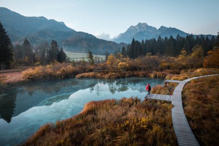Téléchargez les photos : Young man hiker or photographer sitting on wooden bridge and enjoying freedom. Nature, Outdoors, Travel, Relaxation, Lifestyle Image. Amazing view on Zelenci natural reserve in Slovenia, Europe. Nature background - en image libre de droit