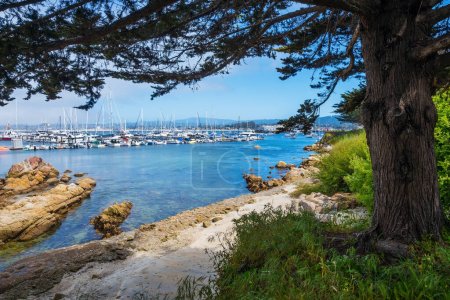 El histórico Puerto y Marina de Monterey se encuentra en la Bahía de Monterey, California