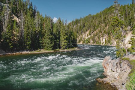 Photo for The Yellowstone River flowing past the Lower Falls observation point, in Yellowstone National Park - Royalty Free Image