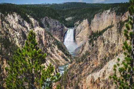 Photo for View of the Upper Falls of the Yellowstone River, in Yellowstone National Park - Royalty Free Image