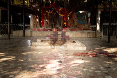 Un lieu où les animaux sont sacrifiés dans le temple indien