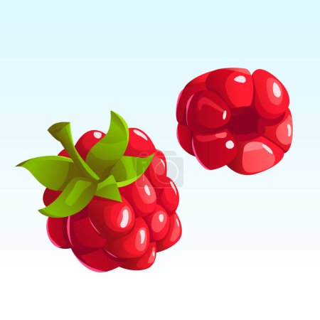 Téléchargez les illustrations : Raspberry set, detailed ripe fresh raspberries with green leaves isolated on blue background. Vector Illustration in Cartoon Style. - en licence libre de droit