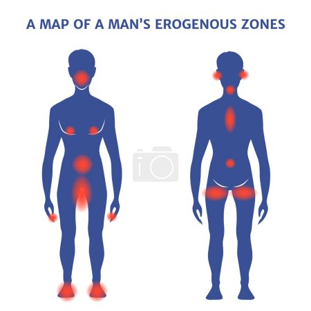 Téléchargez les illustrations : Zones érogènes mâles. Silhouette avec des marques. Illustration vectorielle - en licence libre de droit
