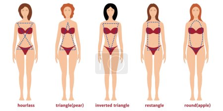 Téléchargez les illustrations : Cinq types de figures féminines en maillot de bain. Illustration vectorielle plate - en licence libre de droit