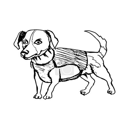 Ilustración de Cartucho de perro en chaleco antibalas. Legendario perro zapador de Ucrania. Dibujo con líneas negras, marcador, línea de arte. Ilustración vectorial - Imagen libre de derechos