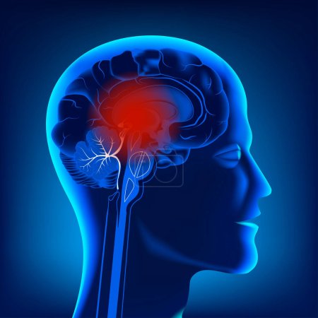 Kopf mit Gehirn im Querschnitt im Profil. Leuchtende Illustration in Neon. Medizinisches Poster