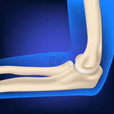Illustration for Elbow joint, arm bones on a blue background. Medical design. Vector illustration. - Royalty Free Image