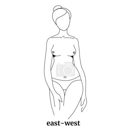 Illustration for Female breast shape, east west. Drawing with simple lines. Vector illustration - Royalty Free Image