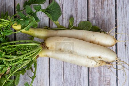 Photo for White Turnip from Organic Farming: Freshness and Health in a Root Vegetable - Royalty Free Image