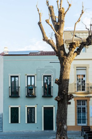 Foto de Un hermoso edificio antiguo en el barrio residencial de Dalt de la Vila en Badalona, Barcelona, España. Su fachada está adornada con árboles y ventanas con plantas en maceta. - Imagen libre de derechos