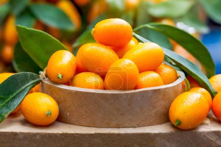 Téléchargez les photos : Un spectacle vibrant de kumquats frais et juteux dans un cadre rustique, symbolisant l'abondance naturelle - en image libre de droit