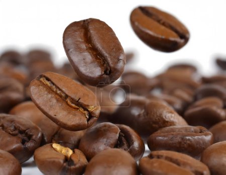 Gros plan de grains de café tombant dans une pile de grains de café sur un fond blanc avec différentes formes et tailles, et de couleur brun intense, tombant au ralenti et formant un petit tas