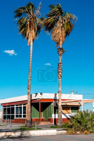 Un petit restaurant avec un toit blanc et des garnitures rouges se trouve devant un palmier. Le ciel est bleu avec des nuages.