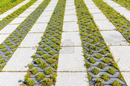 Foto de Ciudad de verano pavimento azulejos cuadrados patrón geométrico fondo con césped verde - Imagen libre de derechos