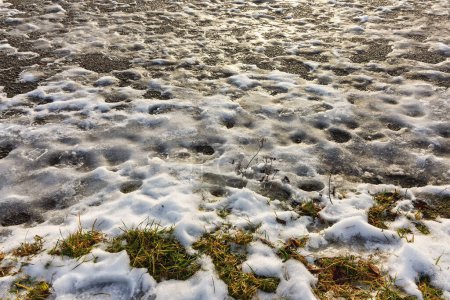 Téléchargez les photos : Une image captivante capturant la transition de l'hiver au printemps, avec de la neige fondante, de l'herbe verte et de l'asphalte, créant un mélange saisissant de saisons au bord du changement. - en image libre de droit