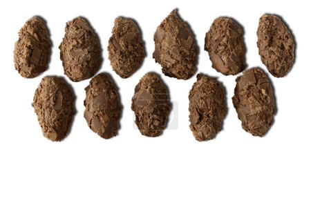 Belgian chocolate truffles covered with milk chocolate chips, isolated on white background, top view