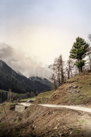 Photo for Breathtaking landscape and mountains of Kashmir stock image. - Royalty Free Image