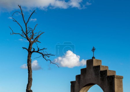 A spiritual picture of a dead treed juxtaposed near a Catholic Cross atop an arch at San Xavier Mission