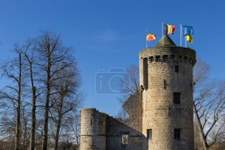 Téléchargez les photos : Les ruines du château yougoslave en Flandre orientale, Belgique. Cadeau à l'État en 1969, monument protégé, il se dresse dans un parc public et est ouvert à la visite. Copier l'espace ci-dessus gauche. - en image libre de droit