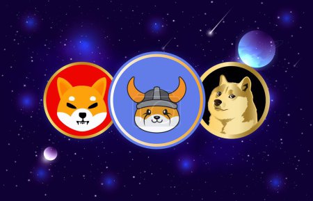 Photo for An image of the shiba inu, dogecoin and floki inu coin virtual currency on a digital background. 3d illustrations. - Royalty Free Image