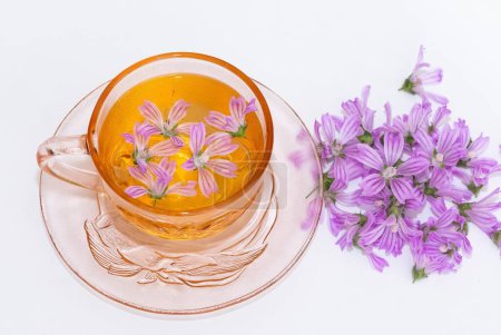 medicinal plants, hibiscus tea photos
