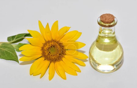 natural vegetable oils. sunflower oil photos.