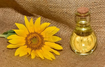 natural vegetable oils. sunflower oil photos.