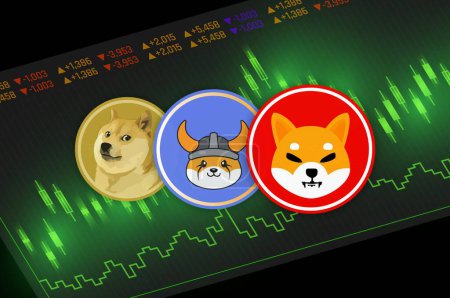 an image of the shiba inu, baby doge, dogecoin and floki inu coin virtual currency on a digital background. 3d illustrations.