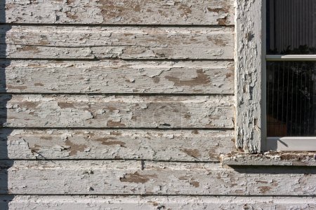 Téléchargez les photos : Close up texture background of an old deteriorating 19th century barn wall with peeling white painted wood siding and view of a window - en image libre de droit