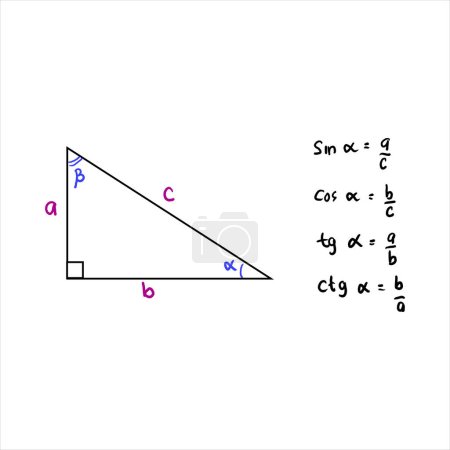 Illustration for Basic trigonometric identities. The formula for calculating sine A, cosine A, tangent A, cotangent A. Right-angled triangle. Education, school programs. Higher mathematics. Handwritten math text. - Royalty Free Image