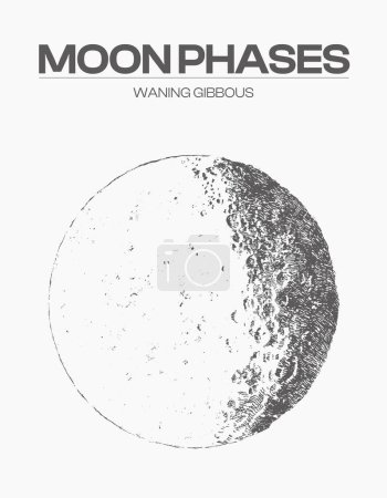 Ilustración de High detail sketch of moon phase, cycle, stage Vector illustration - Imagen libre de derechos