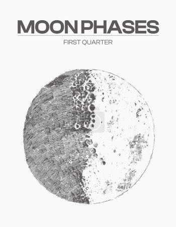 Ilustración de High detail sketch of moon phase, cycle, stage Vector illustration - Imagen libre de derechos
